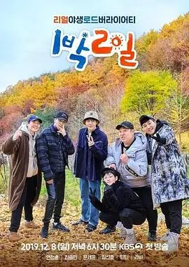 一条街的四季纪实综艺全集